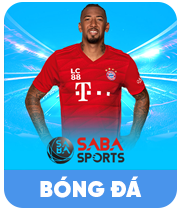 Bóng đá