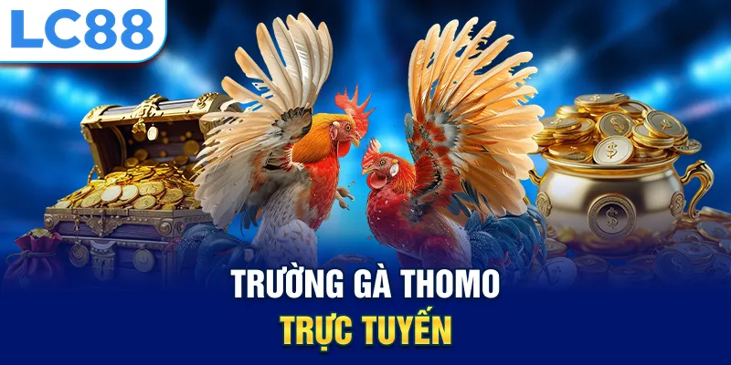Trường gà thomo trực tuyến