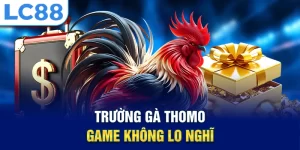 Trường gà thomo