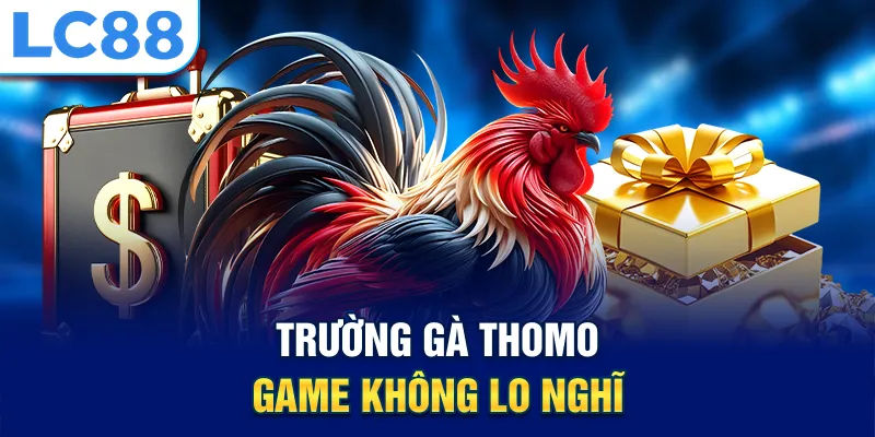 Trường gà thomo