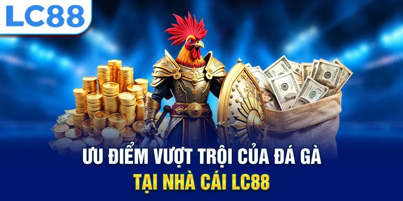 Ưu điểm vượt trội của đá gà tại nhà cái LC88
