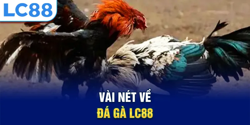 Vài nét về đá gà Lc88